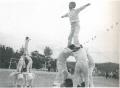 1973년 철원초등학교 가을운동회 썸네일 이미지