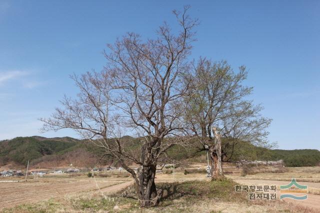 대표시청각 이미지